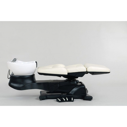 Мойка парикмахерская "Destiny"